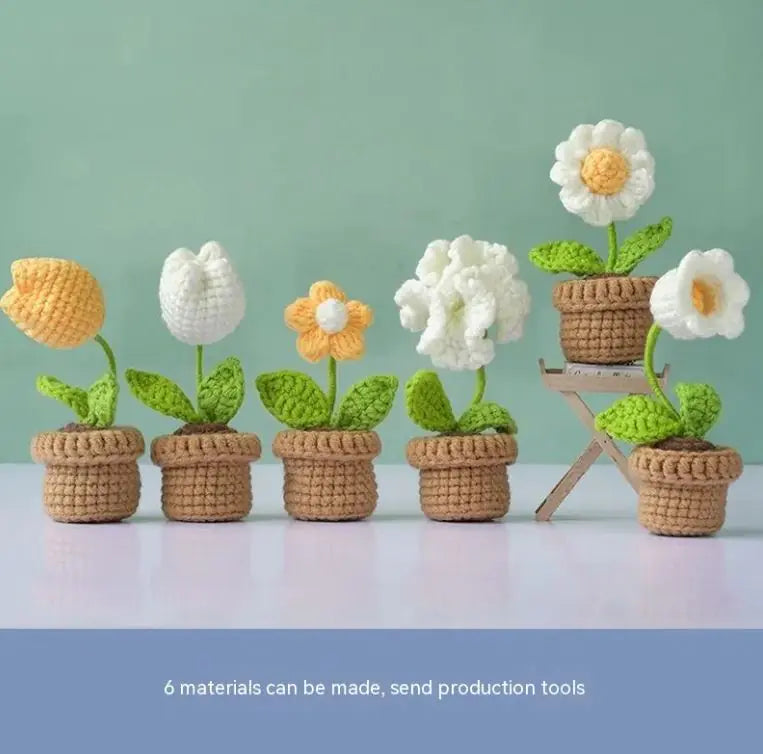 DIY Mini Potted Flower Kit