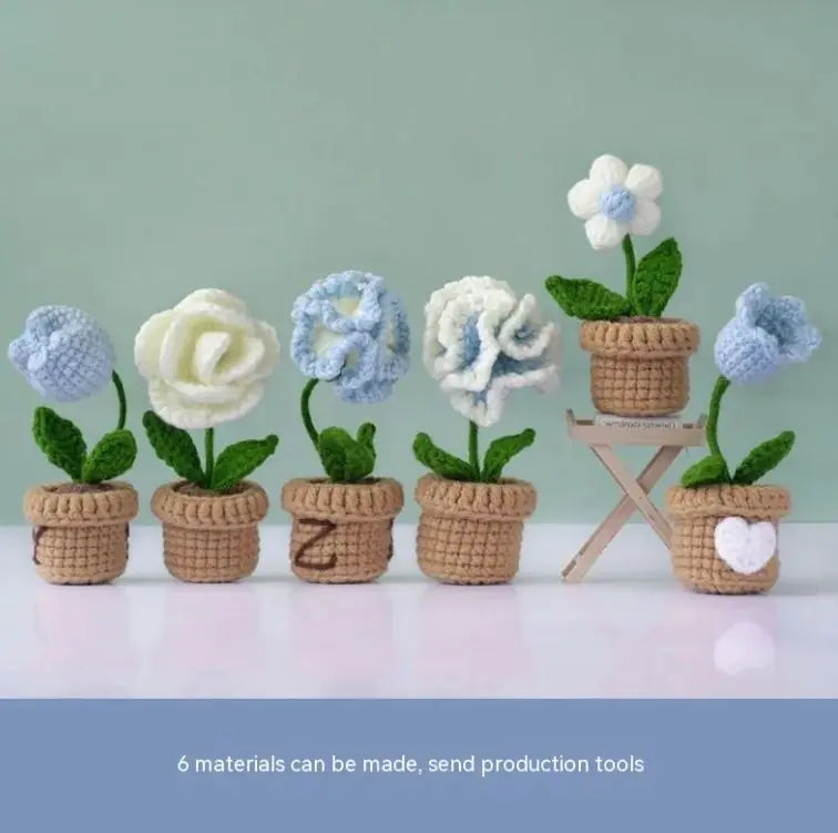 DIY Mini Potted Flower Kit