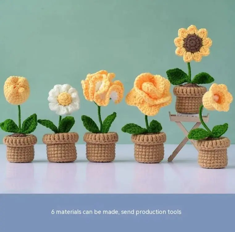 DIY Mini Potted Flower Kit