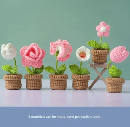 DIY Mini Potted Flower Kit