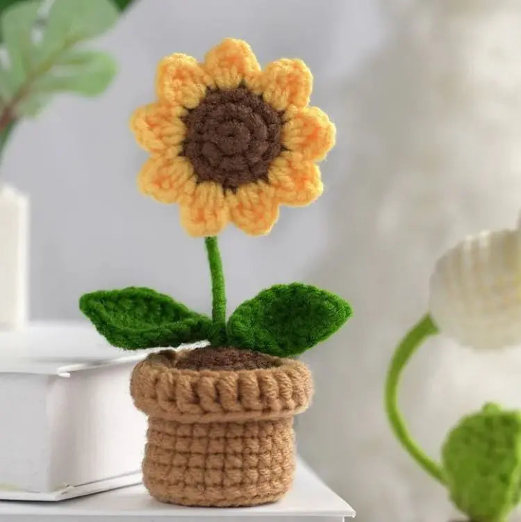 DIY Mini Potted Flower Kit