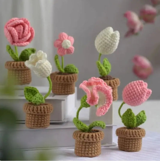 DIY Mini Potted Flower Kit