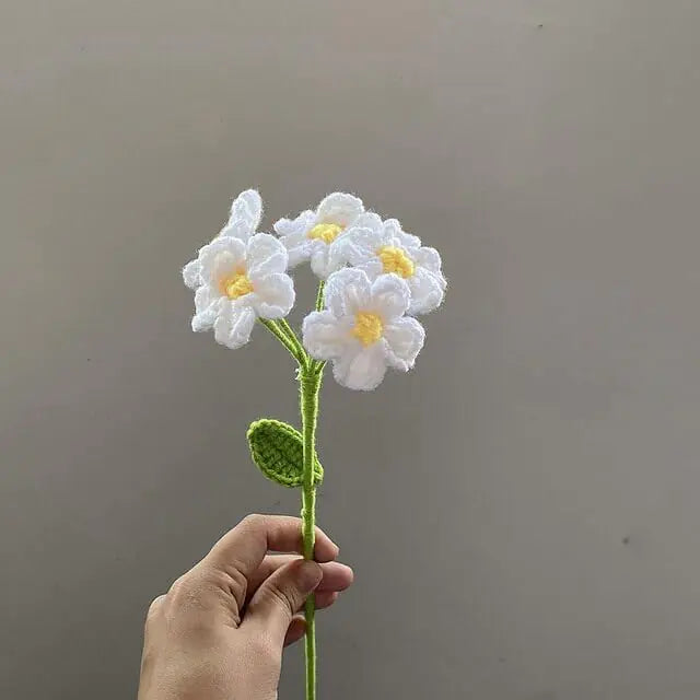 Filler Flowers White Cosmos