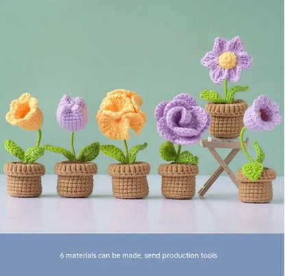 DIY Mini Potted Flower Kit